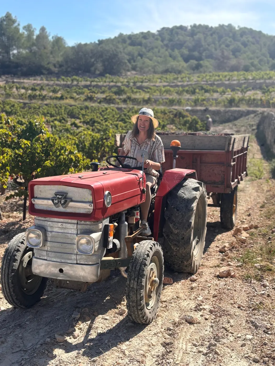 Fiona Fischer sur le tracteur pendant les vendanges